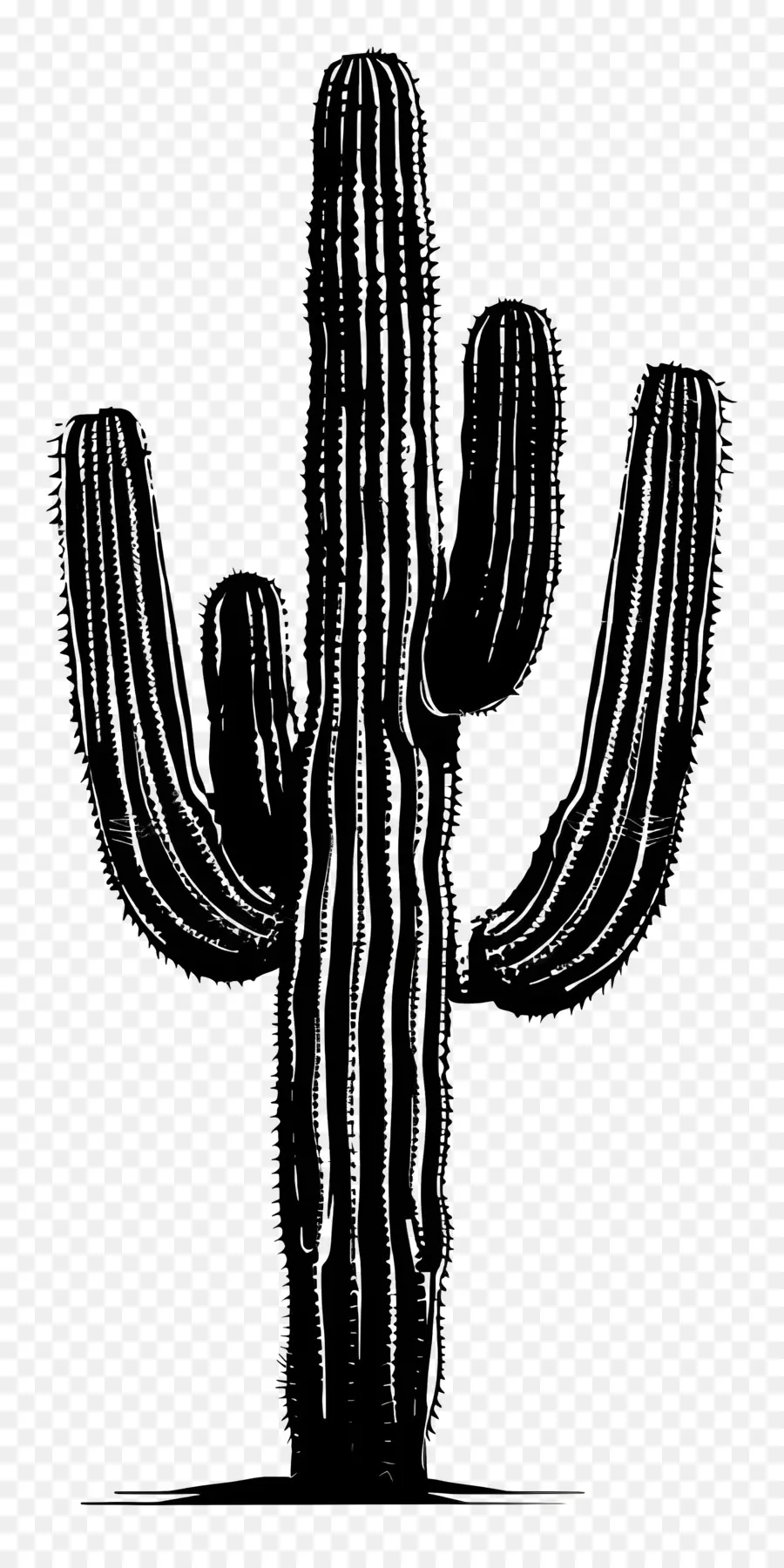 Saguaro Cactus Silueta，Cactus PNG