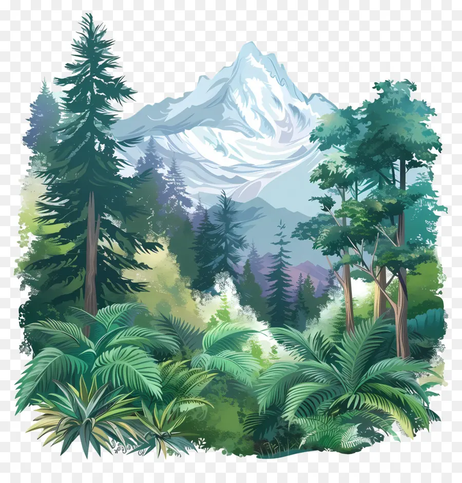 Día Internacional De Las Montañas，Bosque PNG