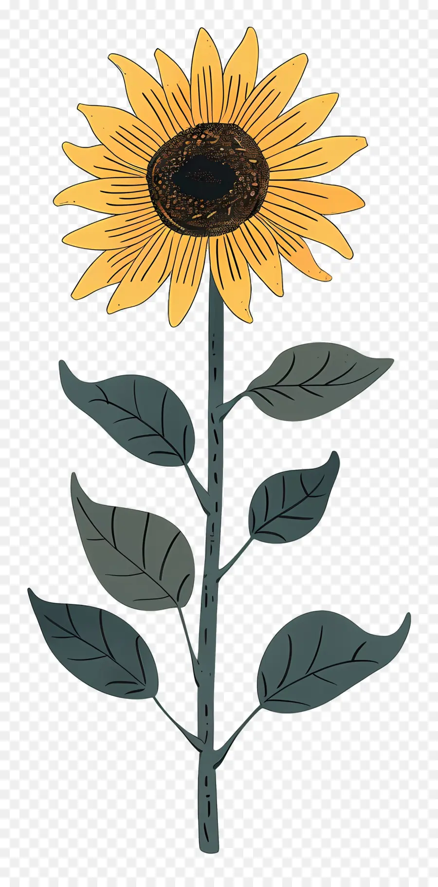 Girasol，Flor PNG