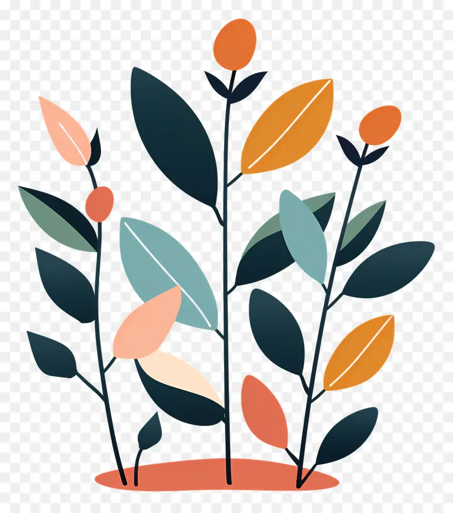 El Crecimiento De Las Plantas，Árbol PNG