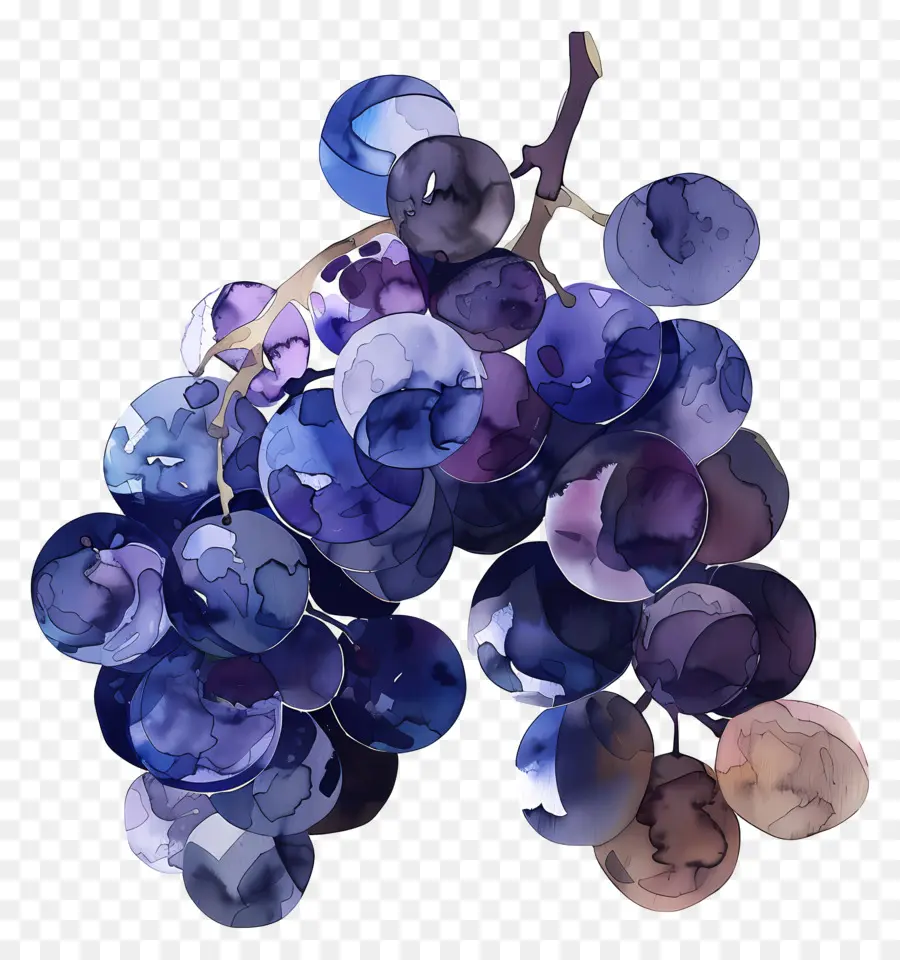 Racimo De Uvas，Las Uvas PNG