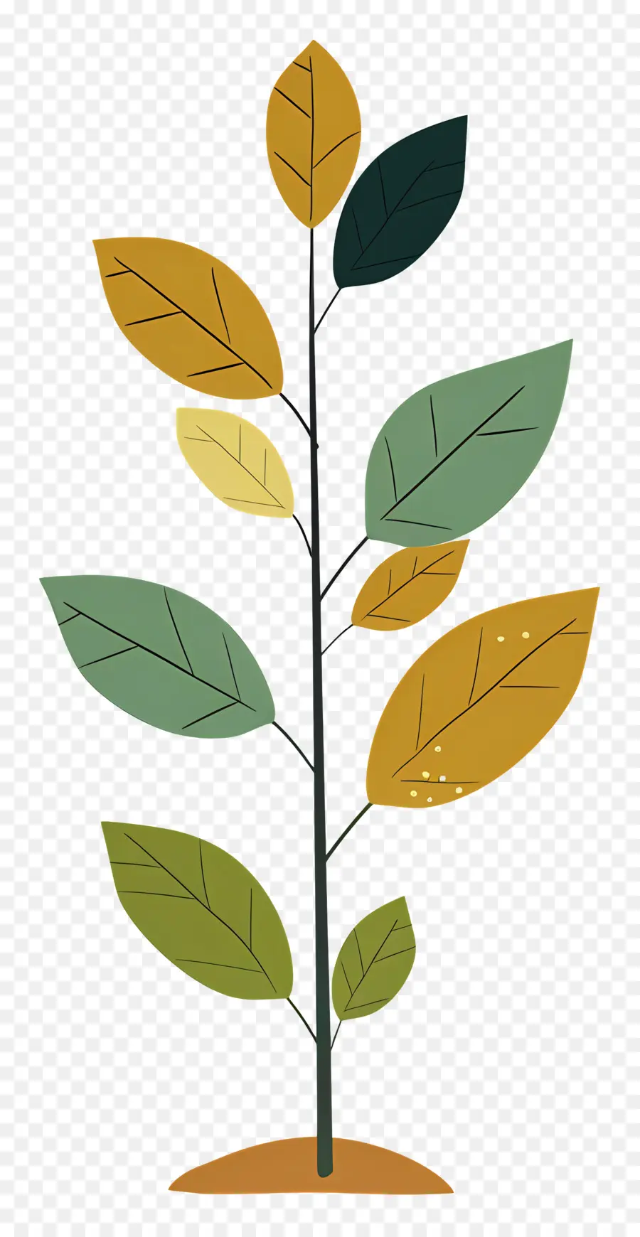 Arbolito，Árbol PNG