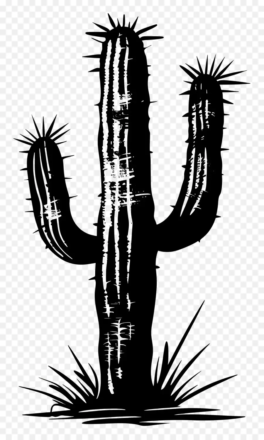 Saguaro Cactus Silueta，Cactus PNG