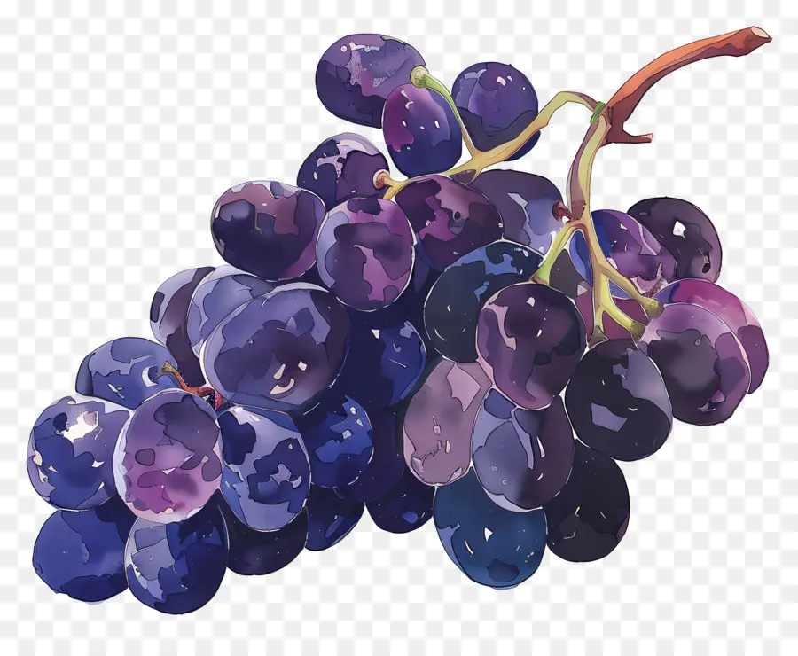 Racimo De Uvas，Las Uvas PNG