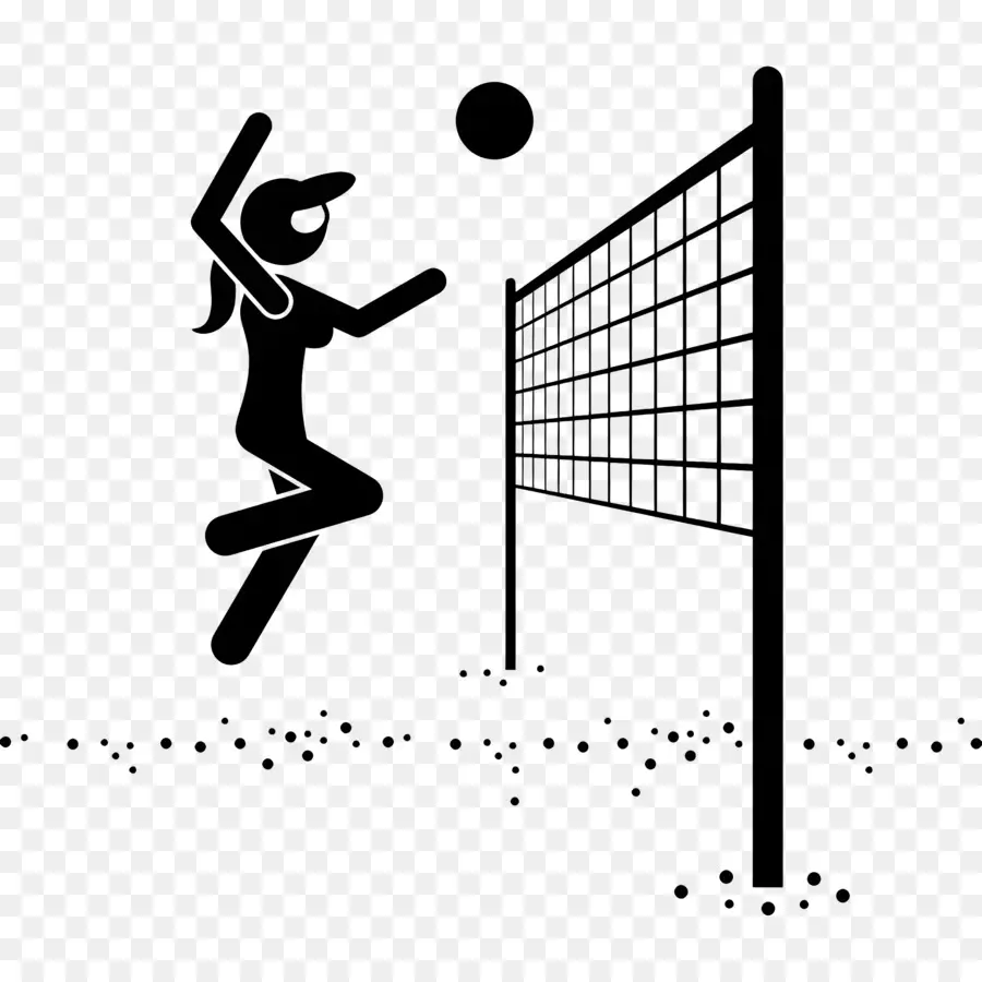 Red De Voleibol，Profesional De Negocios PNG