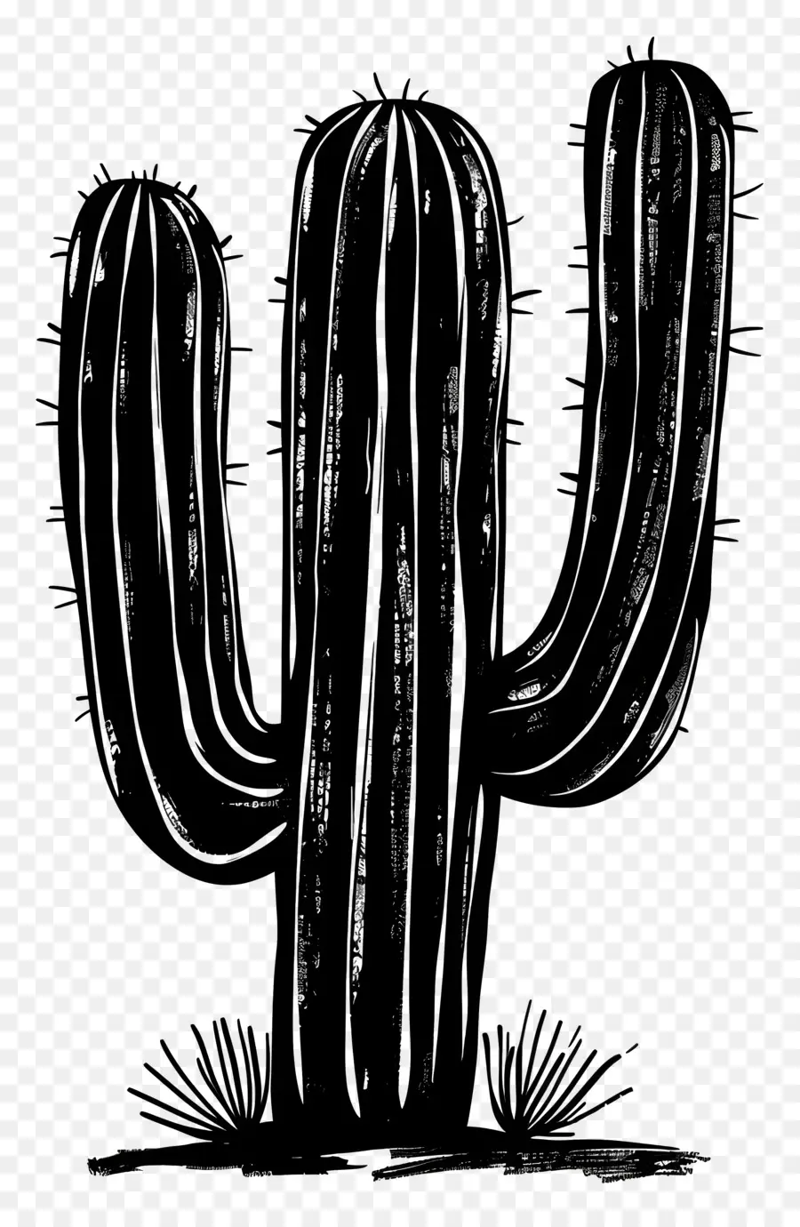 Saguaro Cactus Silueta，Cactus PNG