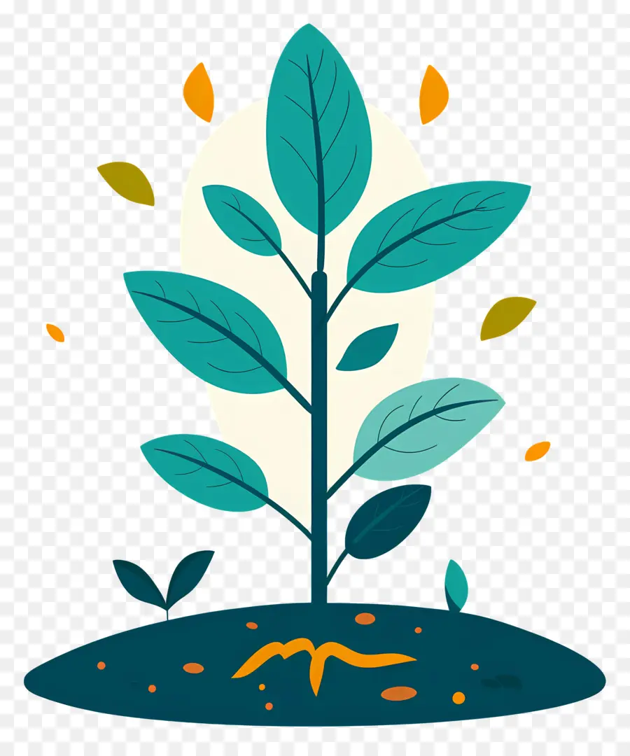 El Crecimiento De Las Plantas，Arbol Artificial PNG