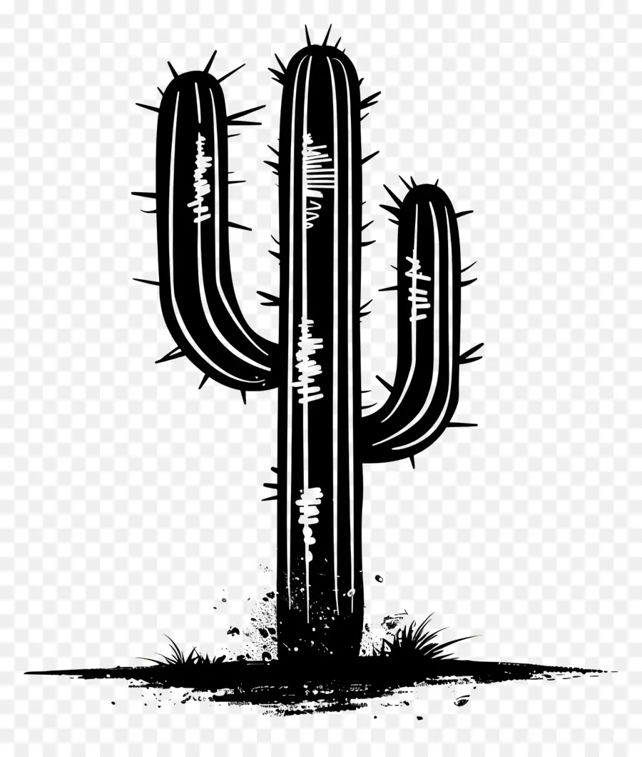 Saguaro Cactus Silueta，Cactus PNG