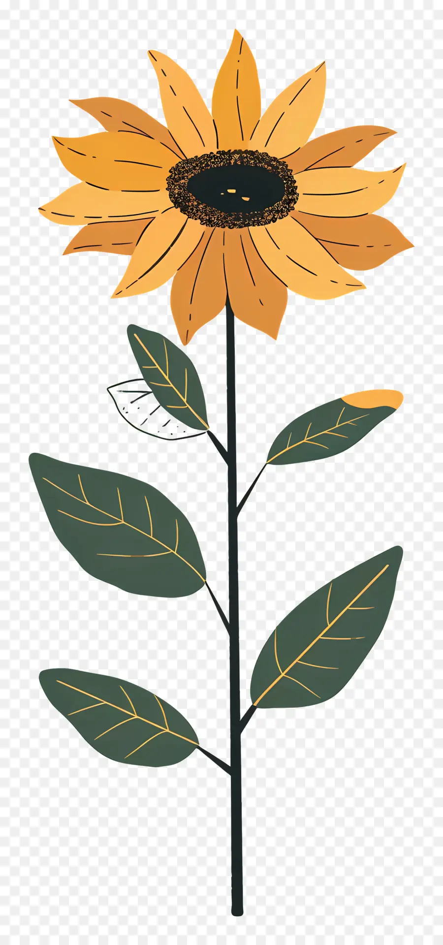 Girasol，Flor PNG