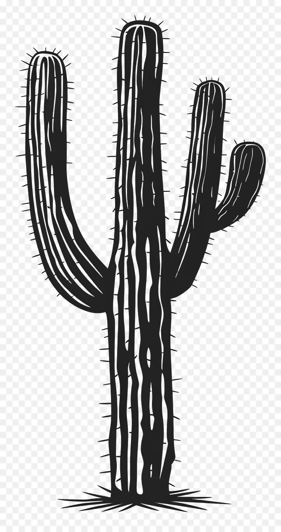 Saguaro Cactus Silueta，Cactus PNG