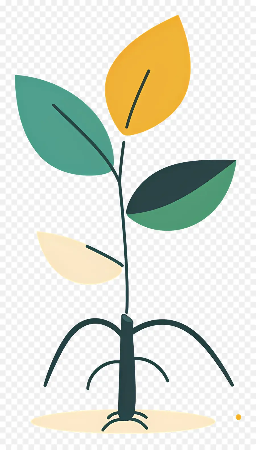 Planta，Hojas PNG