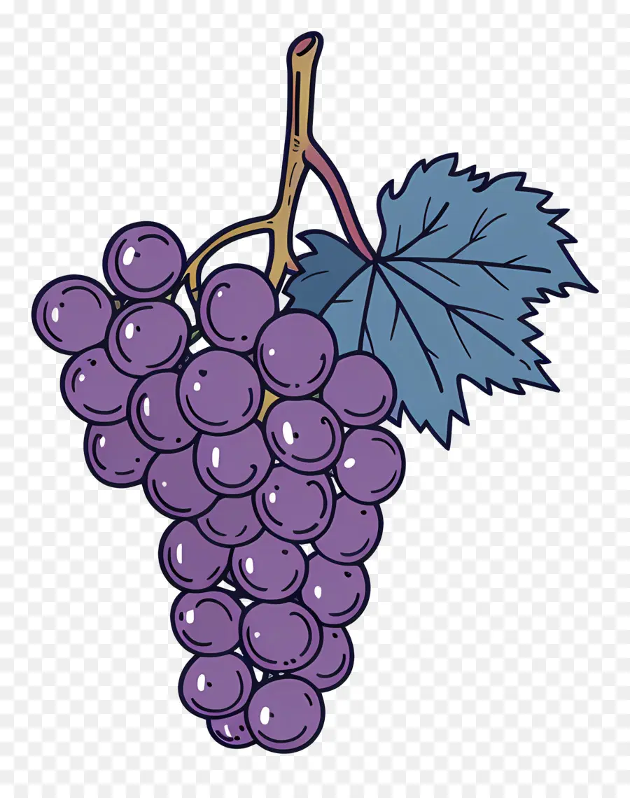 Uvas Moradas，Vid PNG