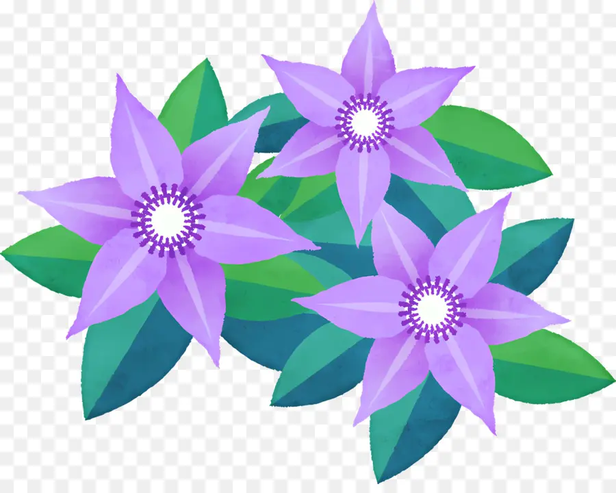 Flor Clemática，Flores De Color Púrpura PNG