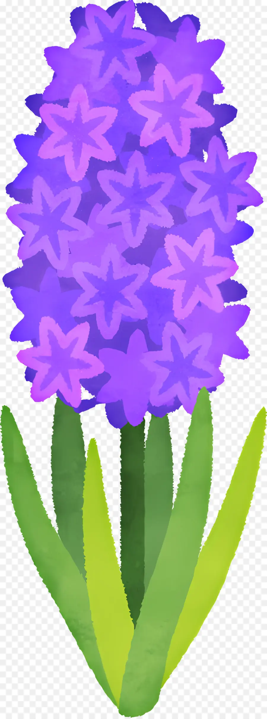 Jacinto，Flor Morada PNG