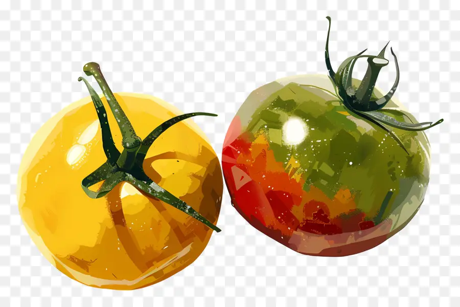 Tomates Rojos，Amarillo Tomates PNG