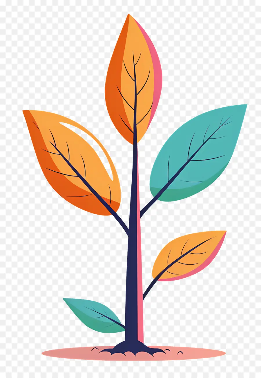 Planta，Hojas PNG