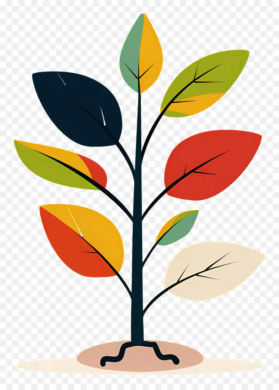 Planta Colorida，Hojas PNG