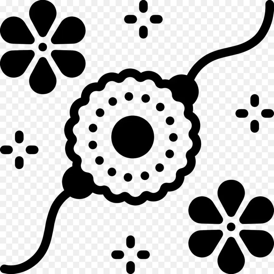 Raksha Bandhan，Black Background PNG