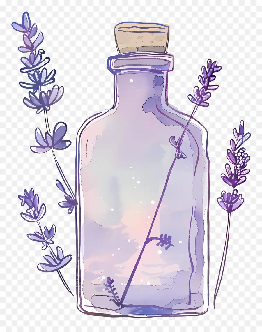 Botella De Poción De Lavanda，El Aceite De Lavanda PNG