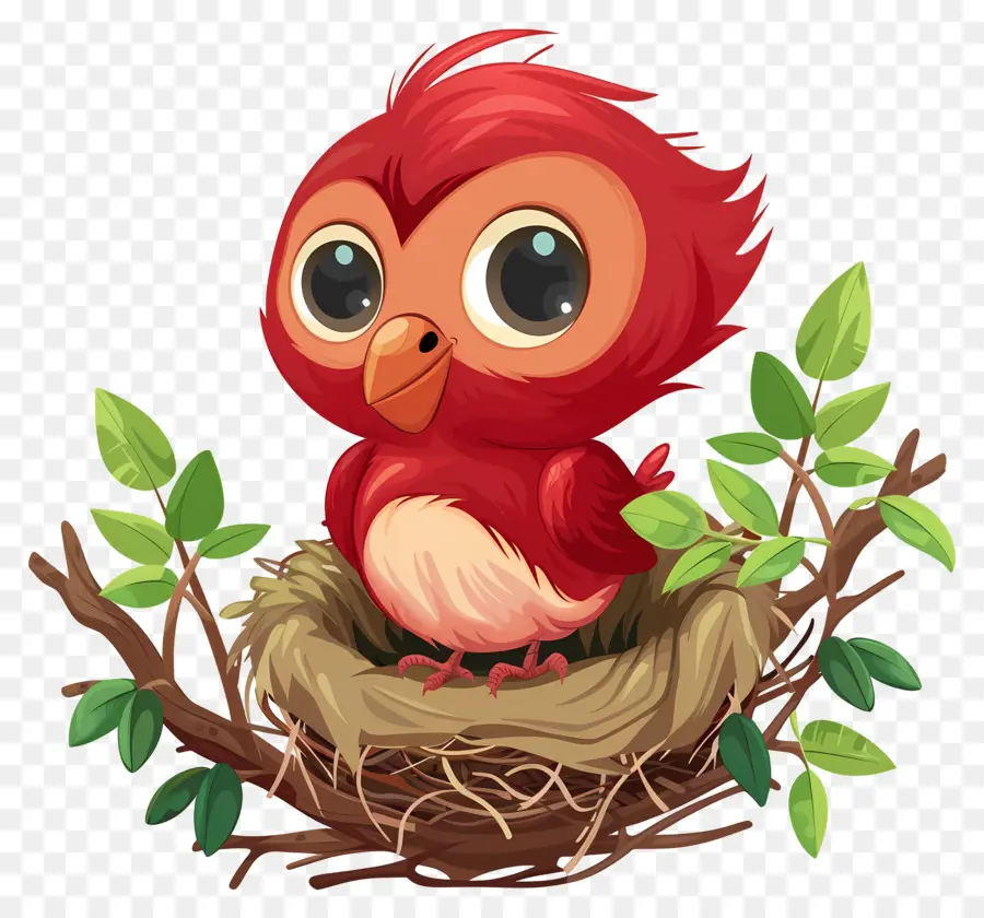 Pájaro Rojo，Ojos Grandes PNG