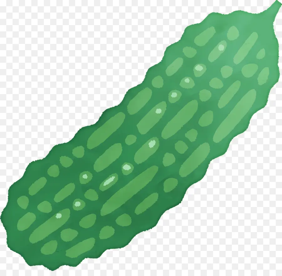 El Melón Amargo，Pepino PNG