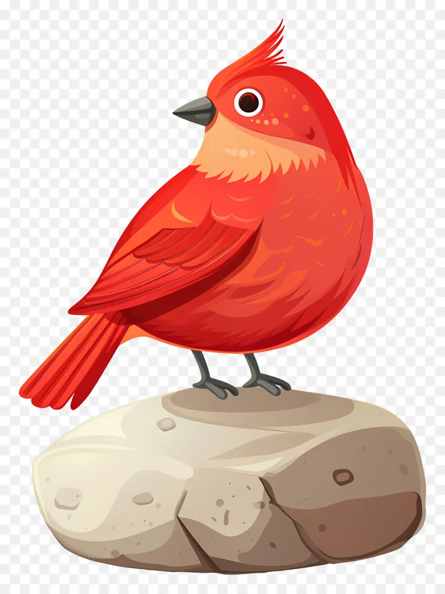 Pájaro Rojo，Roca PNG