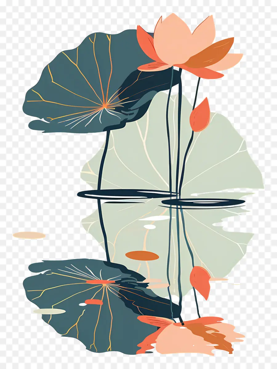 Flor De Loto，Estanque PNG