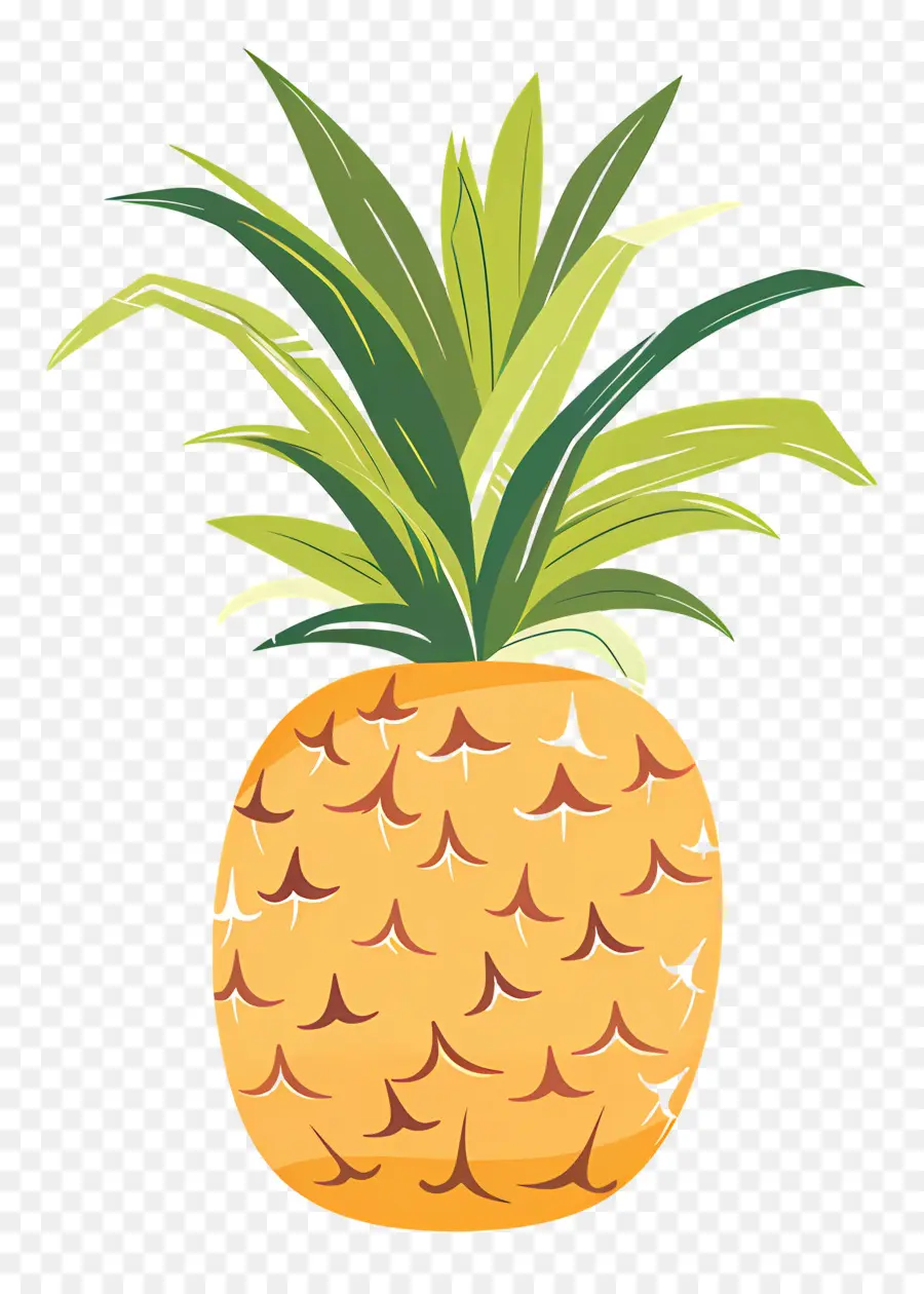 Piña，Ripe PNG