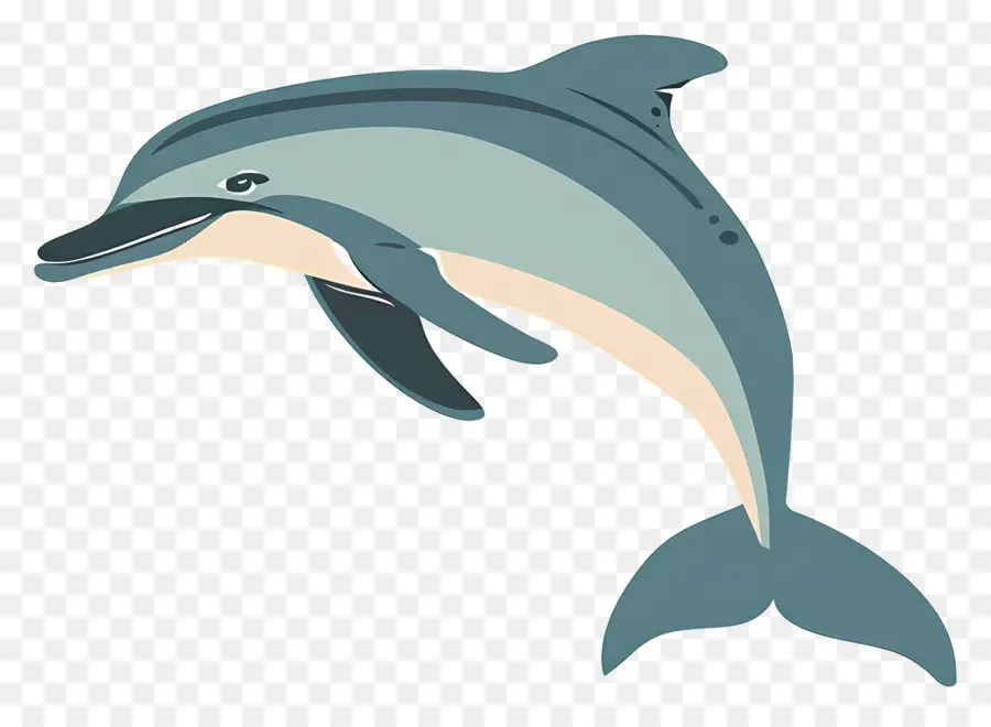 De Dibujos Animados De Los Delfines，Delfín PNG