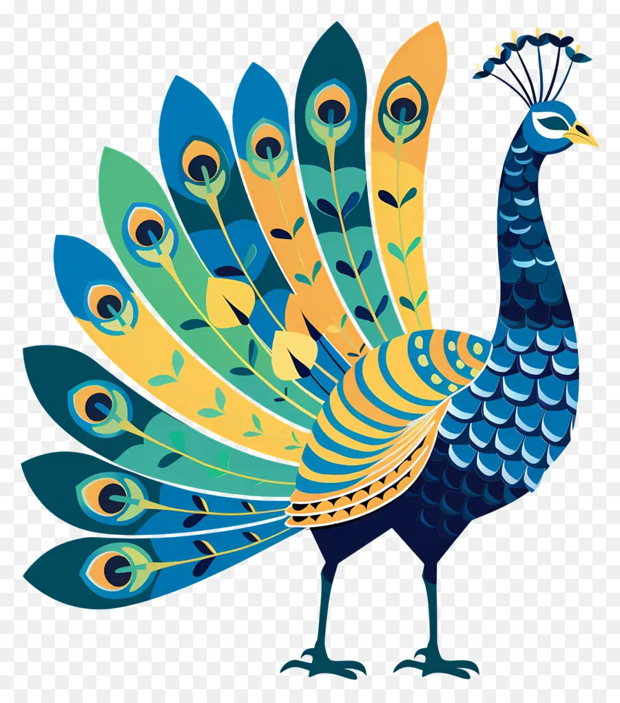 Pavo Real，Aves PNG