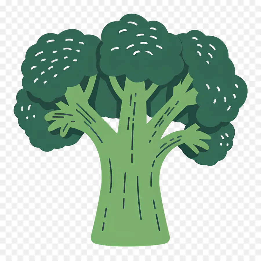 Brócoli，Árbol PNG