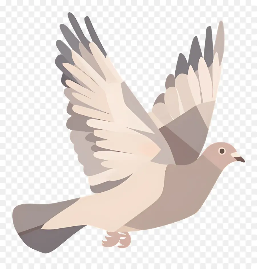 Paloma，Vuelo PNG