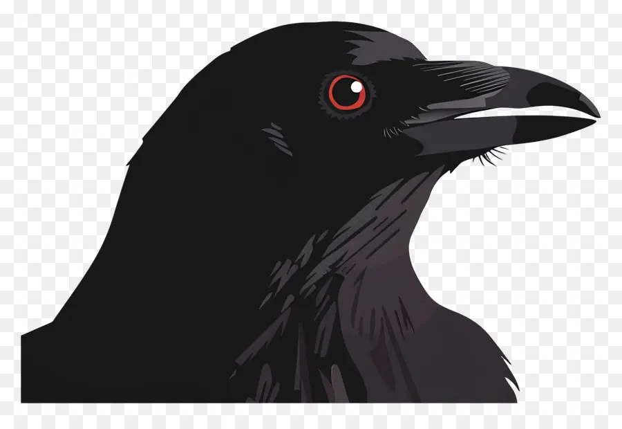 Cuervo，Pájaro Negro PNG