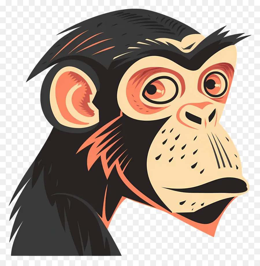 Mono，Chimpancé PNG