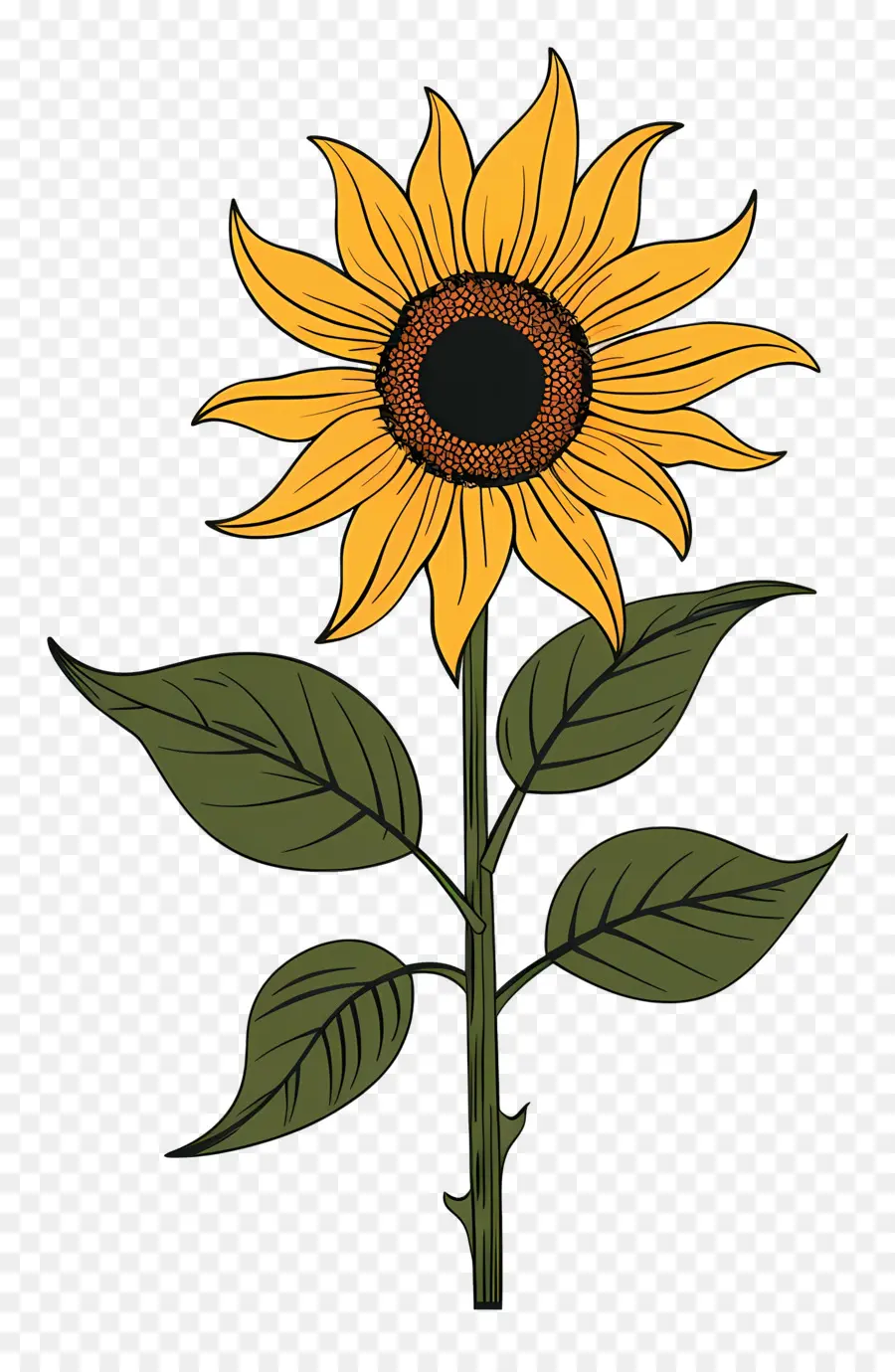 Girasol，Amarillo PNG