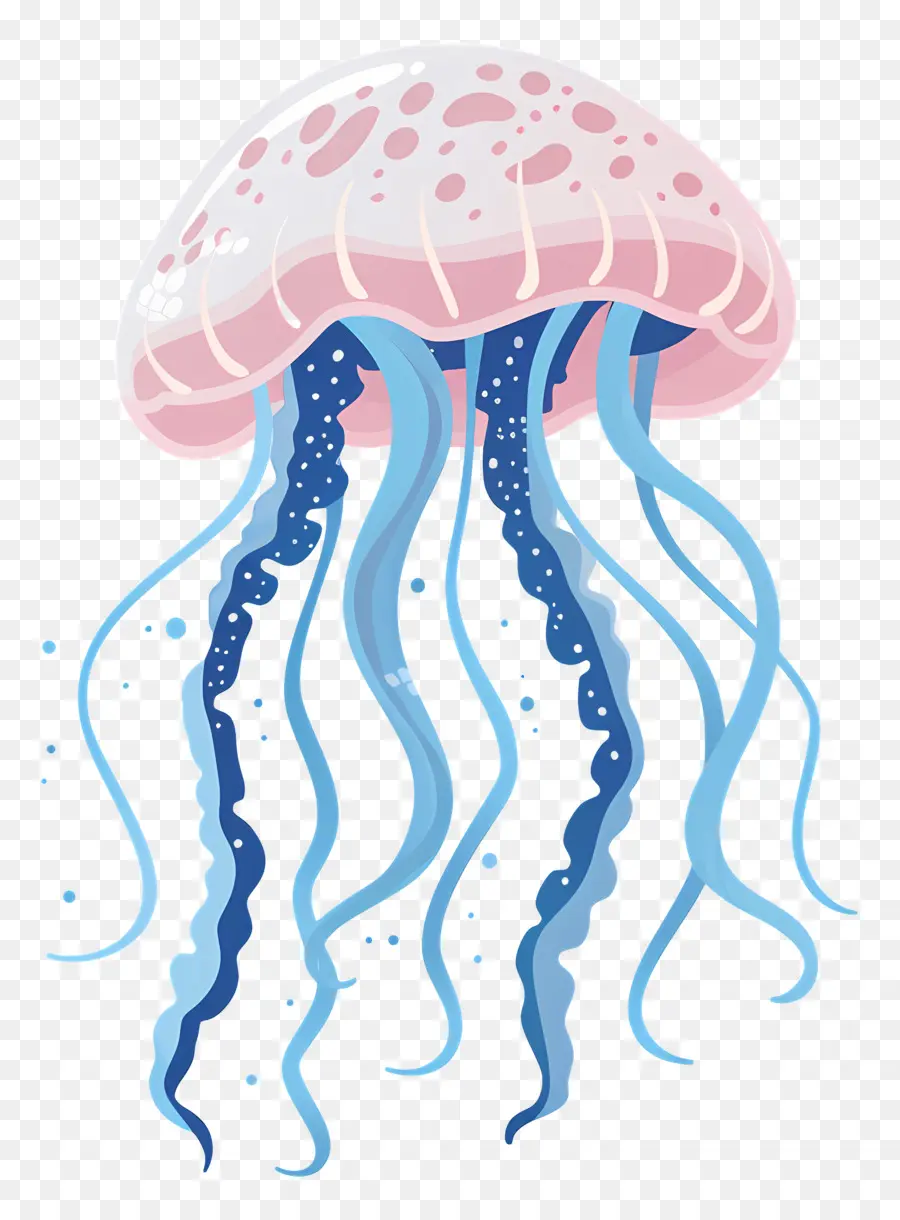 Las Medusas，Rosa Y Azul PNG