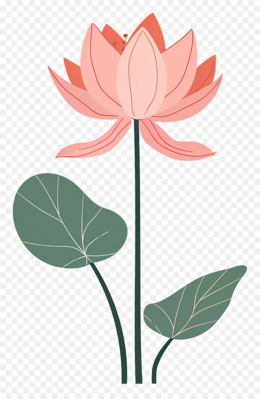 Lotus，Flor De Loto PNG