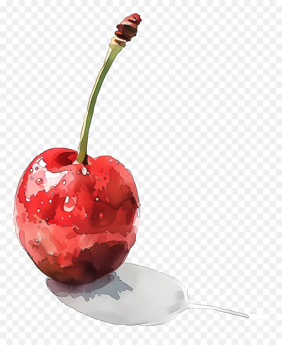 Cereza，Rojo PNG