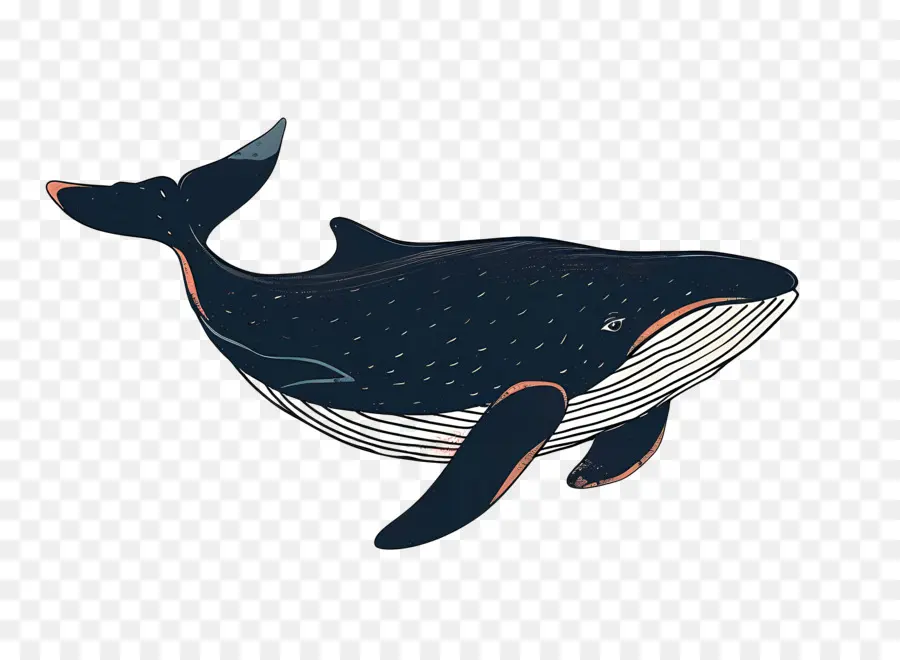 Ballena，La Ballena Azul PNG