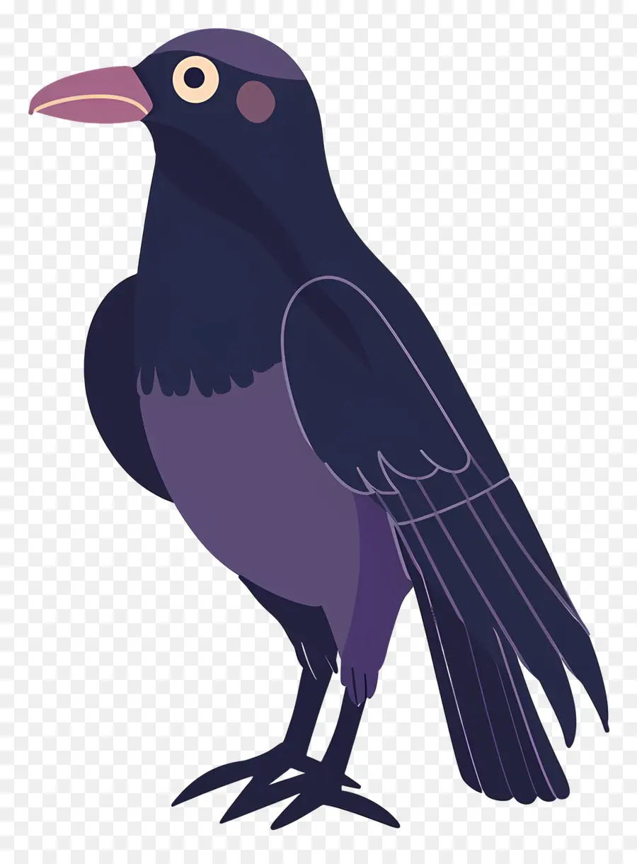 Cuervo，Pájaro Negro PNG