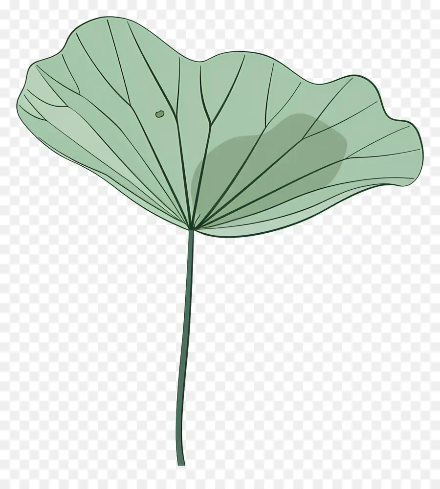 La Hoja De Loto，Flor De Loto PNG