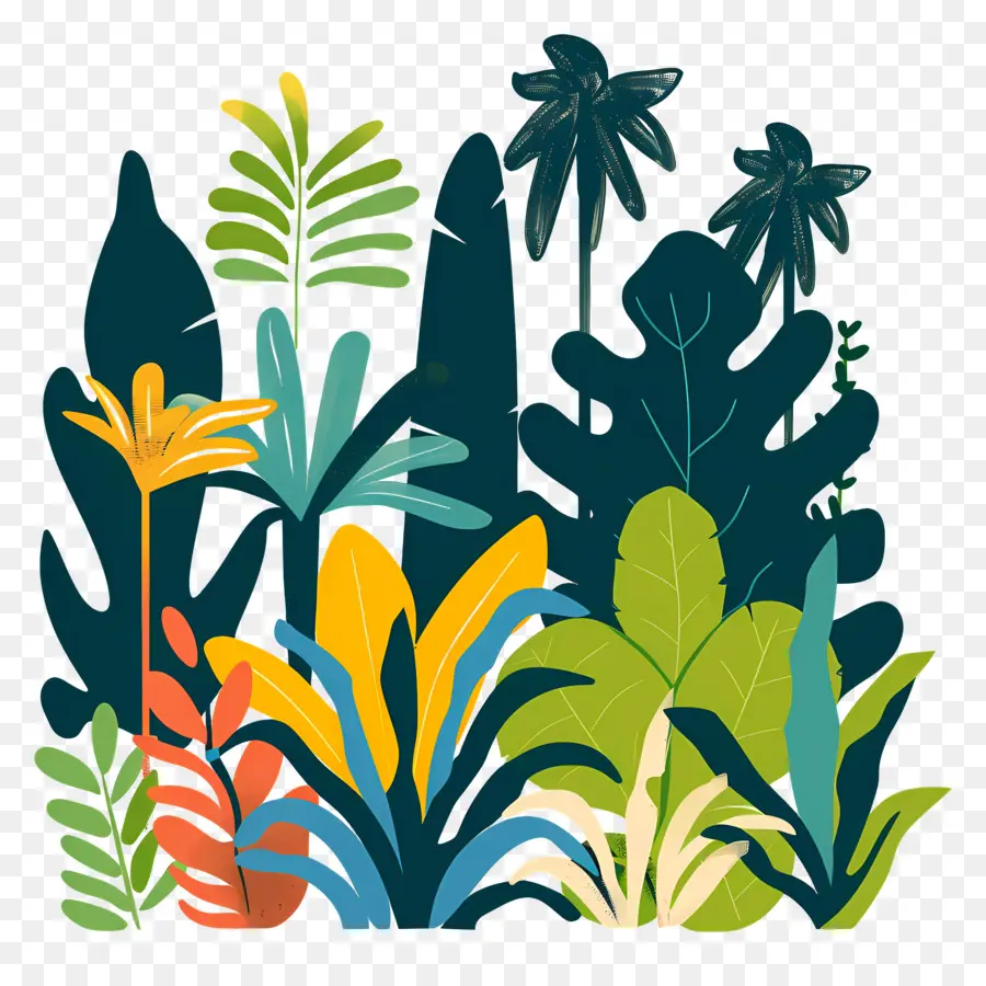 Selva，Plantas Tropicales PNG