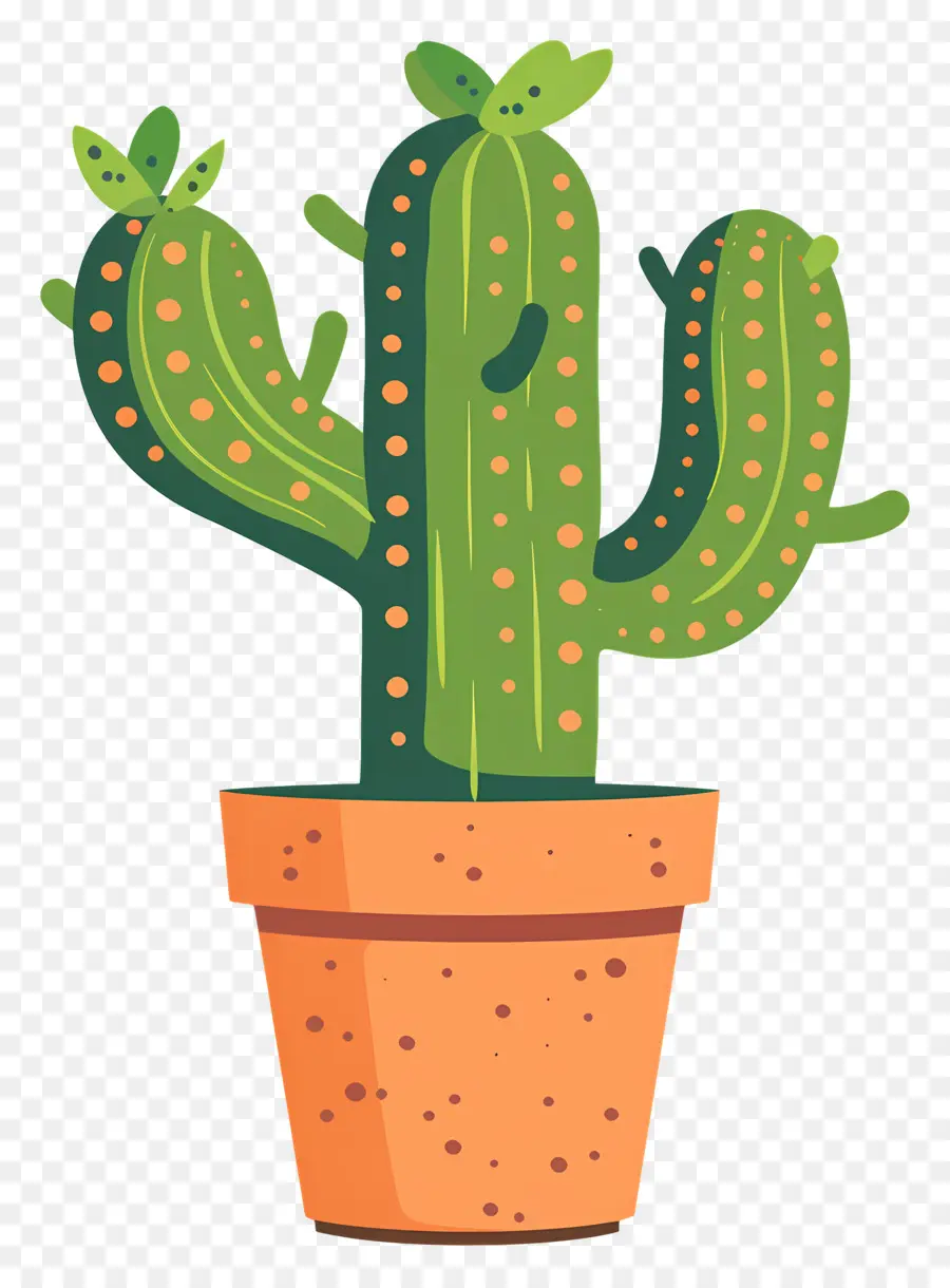 Cactus，Planta De Cactus PNG