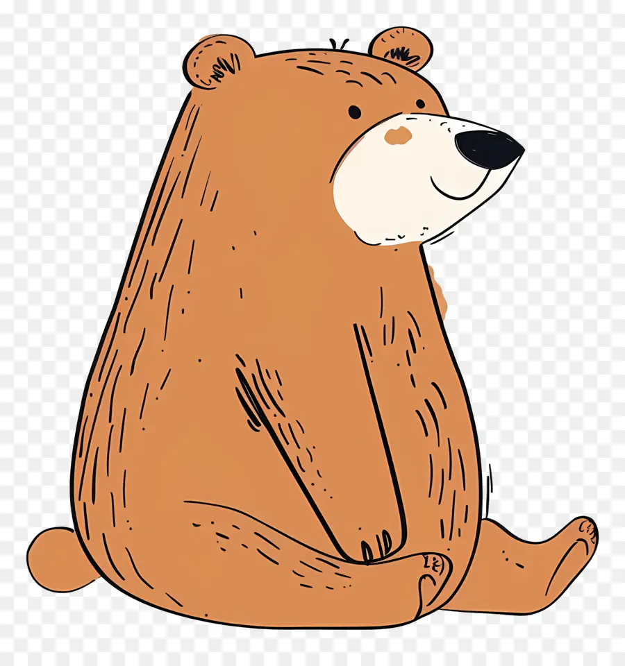 Cartoon Bear，Oso Pardo PNG