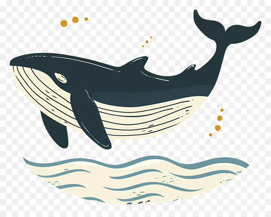 Ballena，La Ballena Azul PNG