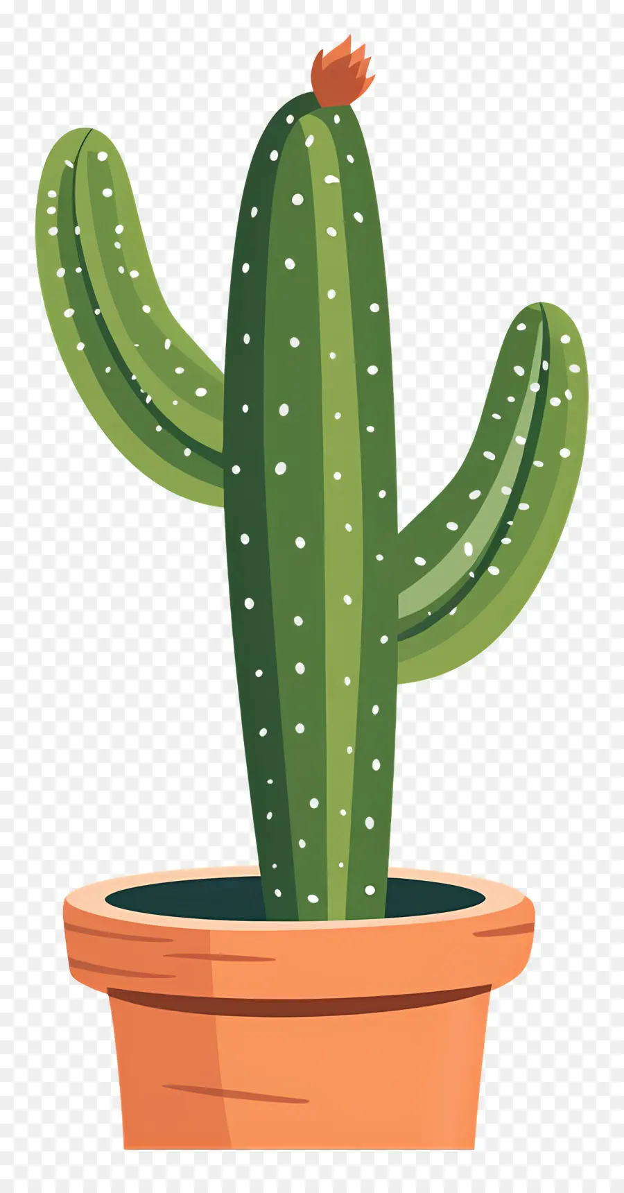 Cactus，Olla De Barro PNG