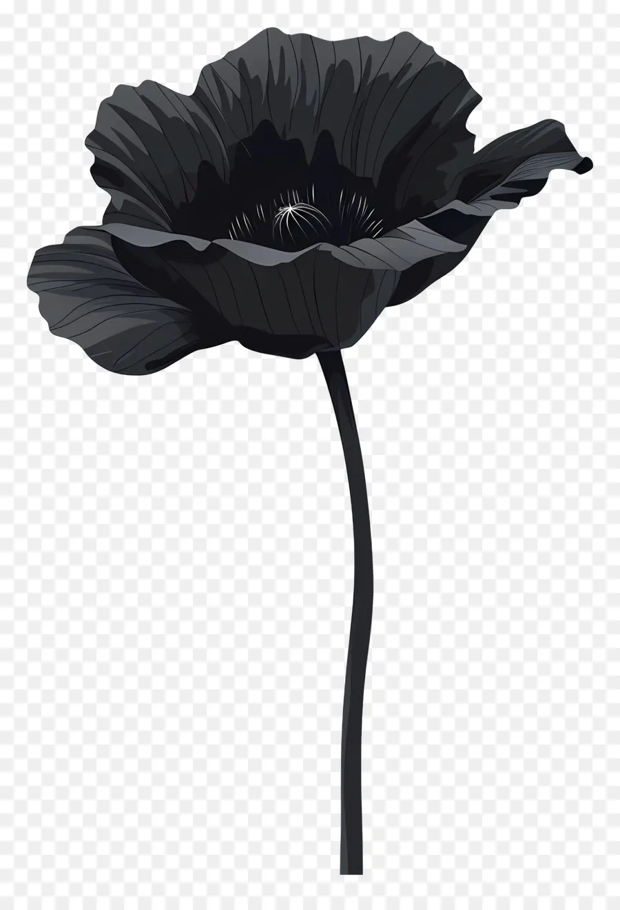 Flor Con Tallo，Flor De Amapola Negra PNG