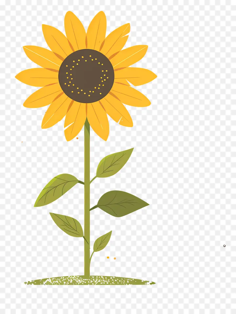 Girasol，Amarillo PNG