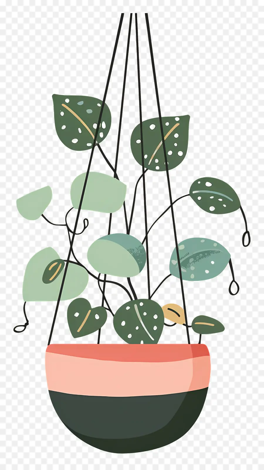 Las Plantas Colgantes，Contenedor De Plantas Colgantes PNG