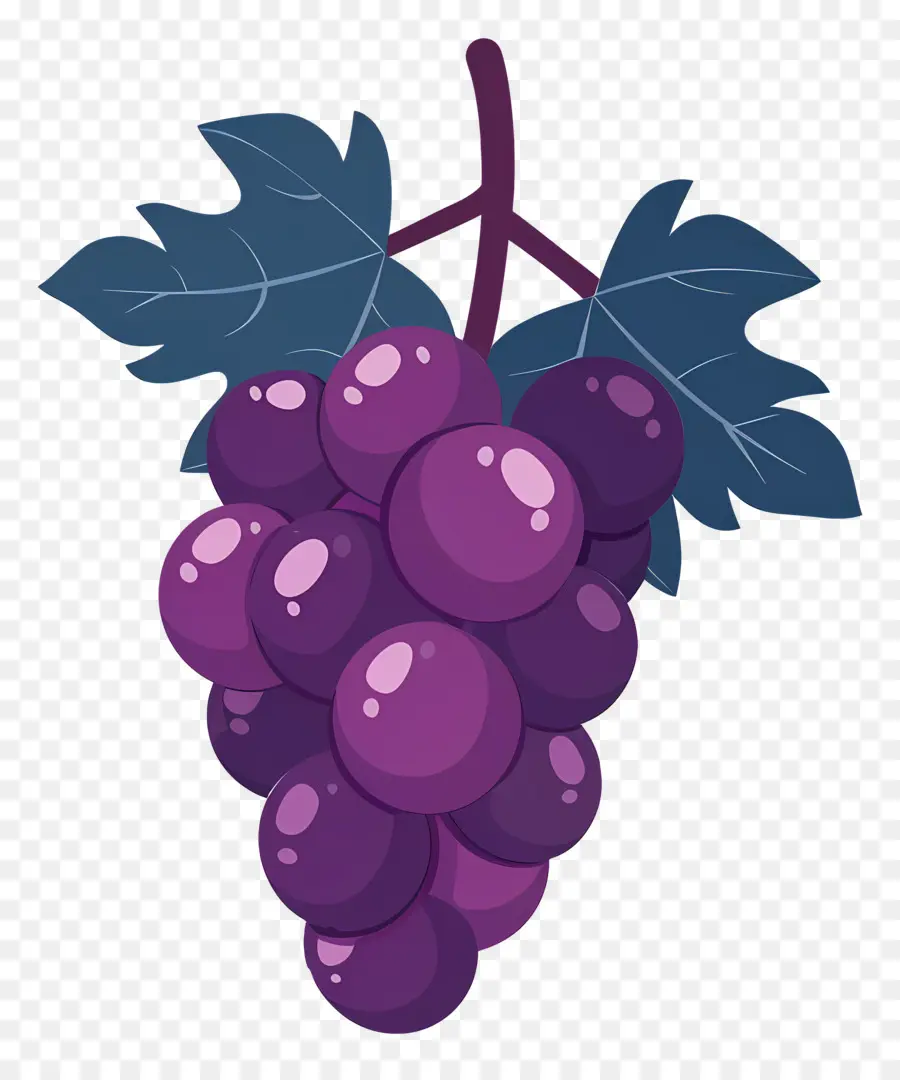 Uva，Uvas Moradas PNG